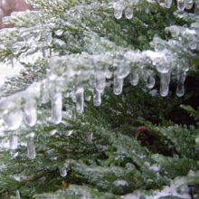 6648902aacd1e3ca6d43afd24e5afe48