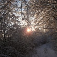 68b5be72a7c1b3554d1c13404cb94c5b