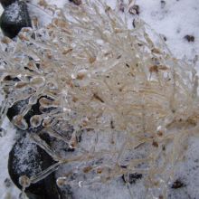 78bc9e39f4f2f9fd8fed7f5a168e8df7