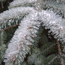 8abe01fc6357e0aa848a06d2f9ad7d89