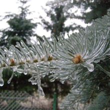 a89f9a8f115f3c1af602626b01203fd1