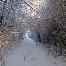 a8c5b826e262e1d77a7acbb61a2d59e9