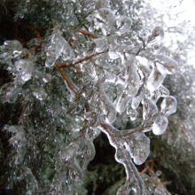 ab8a61cc9f56e61d3e8a56b9d170a341