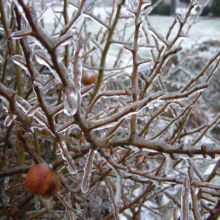 c69a16de916d2607275432c02b029dd4