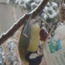 f76fd15a74f6ac0b33b8996cde559861