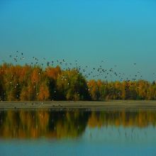 013a2a4873b5020e66d1b212a1e6c348