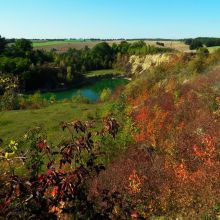 60e49dcb48658a0e2ae2eaddbb51e843