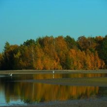 6eafe0b6da606de7745627311fcf8f6a