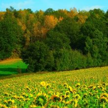 759476a3cfccc8d6698817e8772fa755