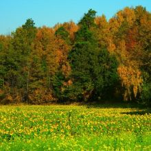 78495c3fe38641112504082e7a6ce0f4