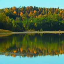 a8ee0dd1d1ca7ff27177186e7e92babb