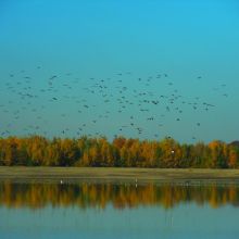 afc2caf32ff12a014707dd6722eb17fb