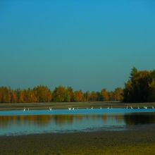 b19476cf72cb2b649565226272f47f1e