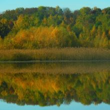 ccddc7bc40b0370efa48e725755bd59a