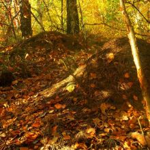 dbc9917f60bd0d3dcb9383800ec99f76