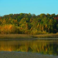 ebaba22c0532bb6849ac0e3d43c46af9