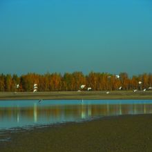 ef2cb8b80727e5c8b83321f190a110d7