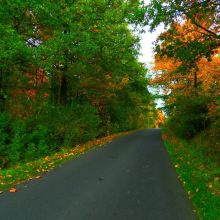 fd87d00956c570d9c068ead3595080f3